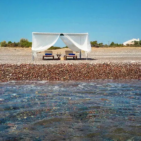 Seashell Garden Jenádi