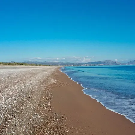 Seashell Garden